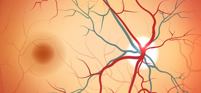 Occlusion veineuse rétinienne et risque de la crise cardiaque